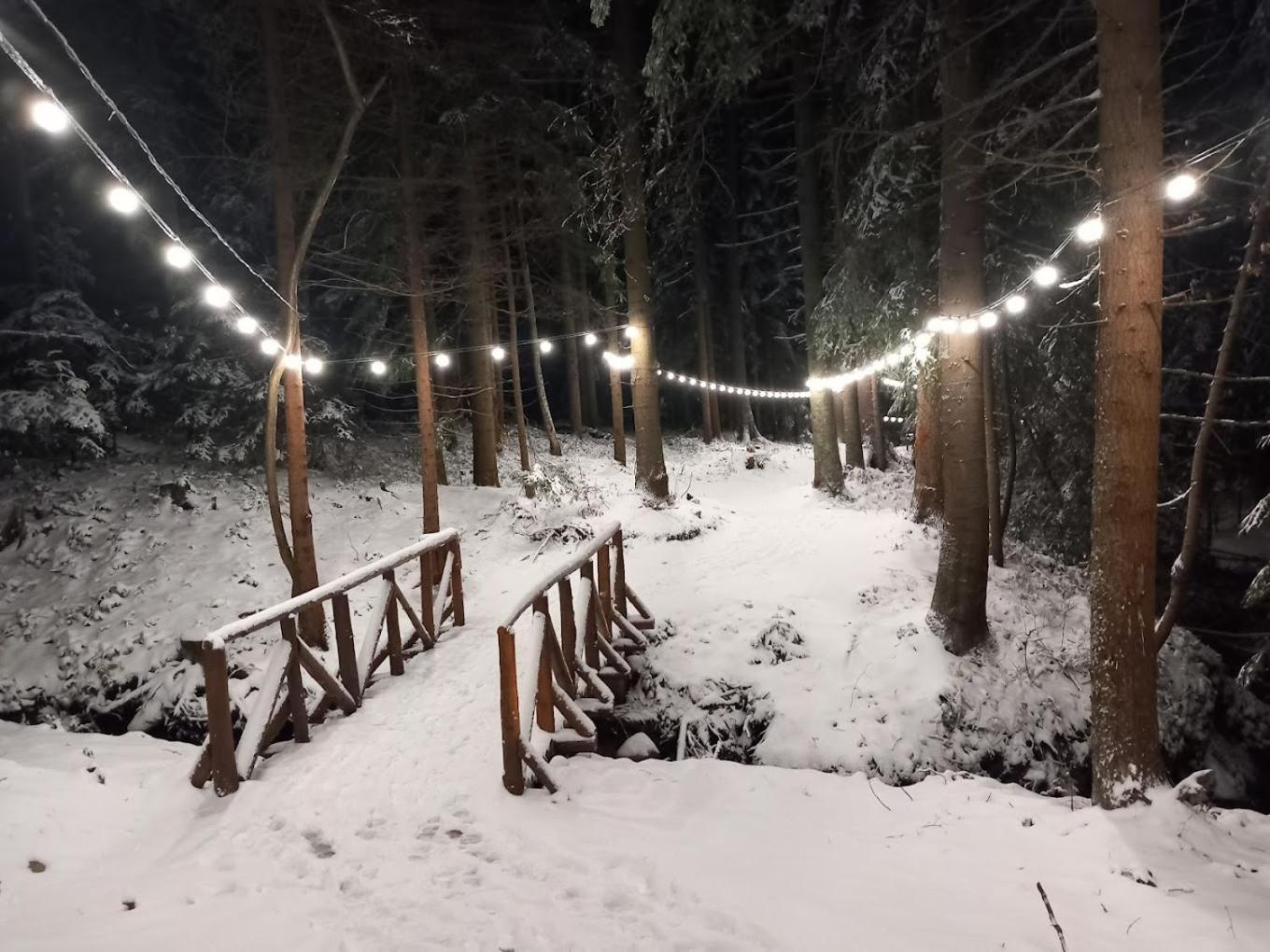 Mountain Studio Asp E63 Borovets Gardens Екстер'єр фото