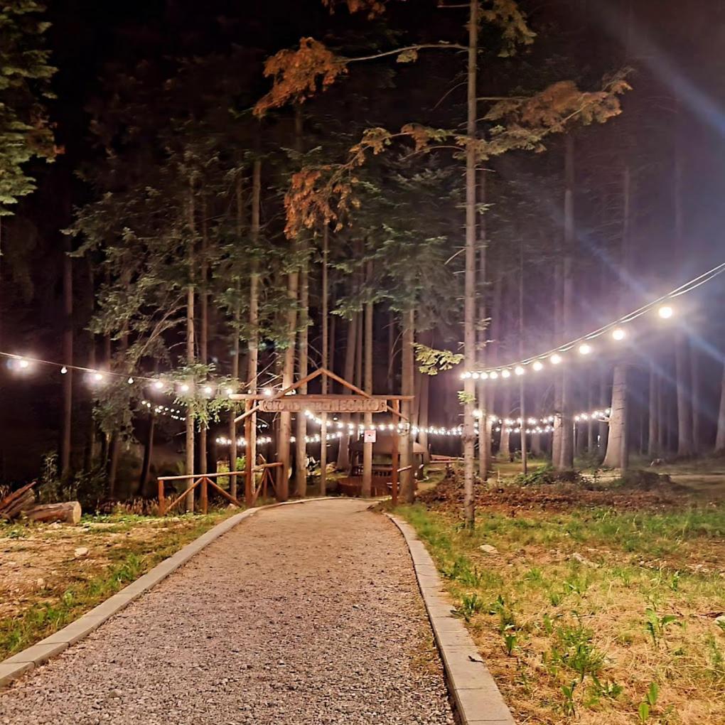 Mountain Studio Asp E63 Borovets Gardens Екстер'єр фото