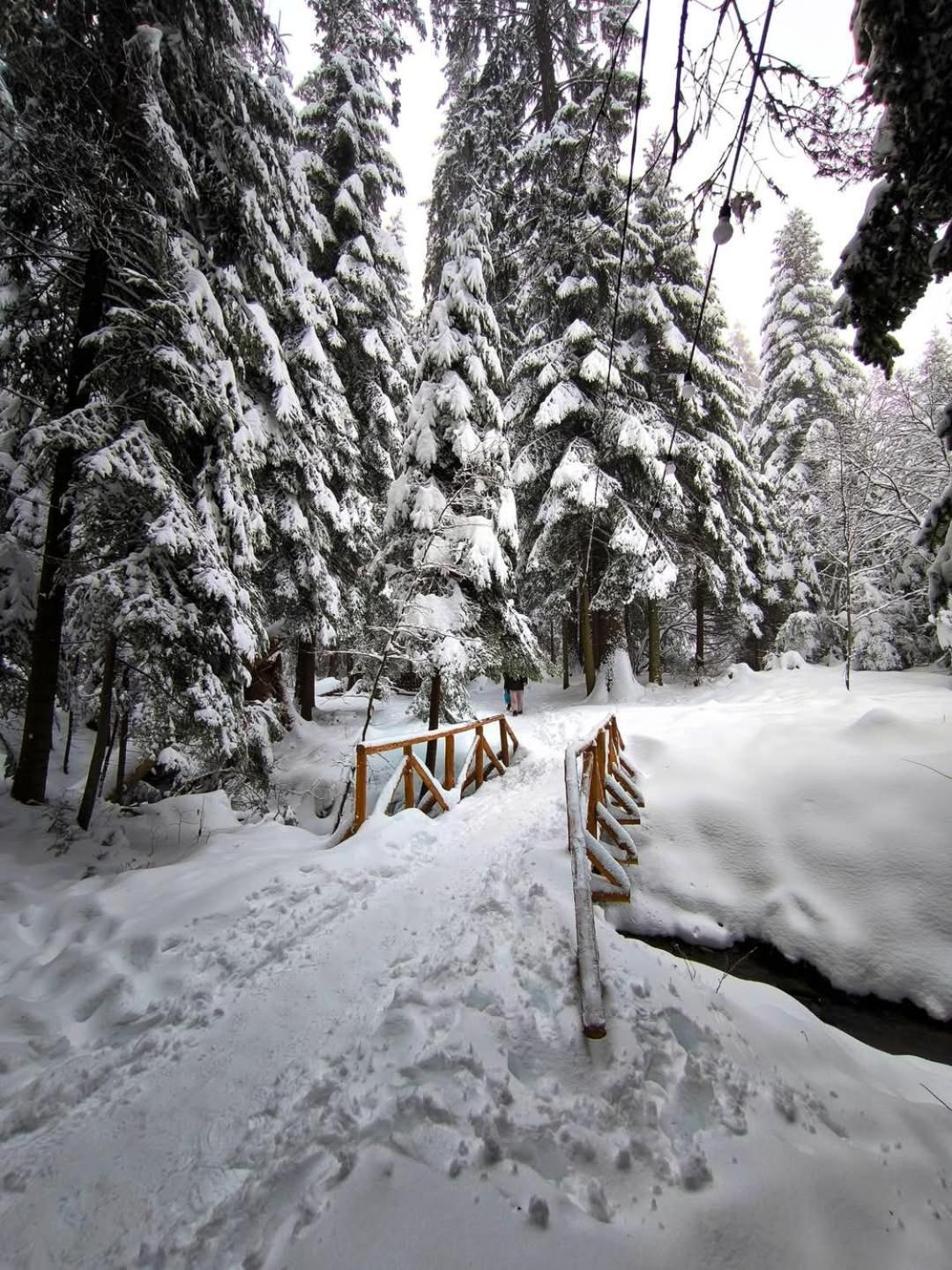 Mountain Studio Asp E63 Borovets Gardens Екстер'єр фото