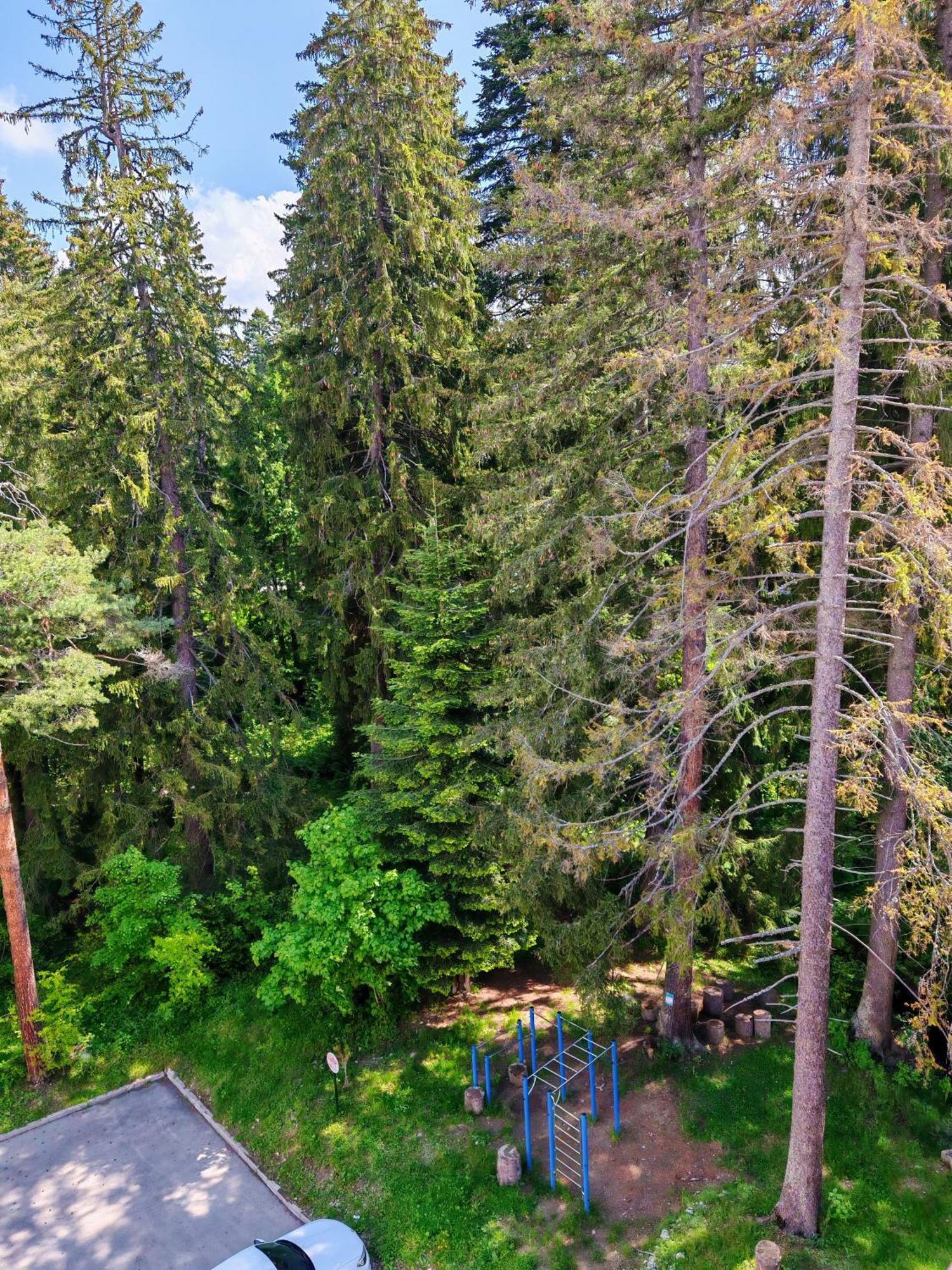 Mountain Studio Asp E63 Borovets Gardens Екстер'єр фото